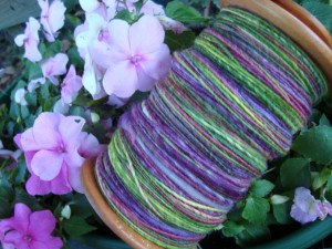 Rambouillet I dyed at a workshop