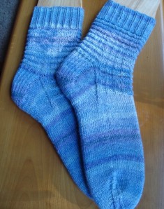 Twilight Socks